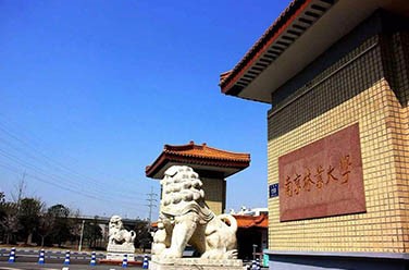 南京林業(yè)大學(xué)（雙一流.南京）