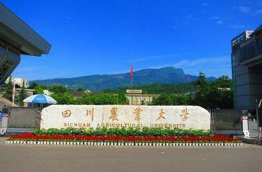 四川農(nóng)業(yè)大學211